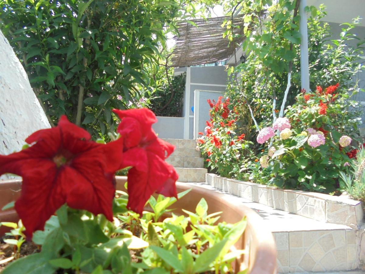 Zace Apartment Ksamil