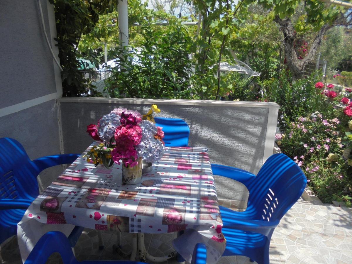 Zace Apartment