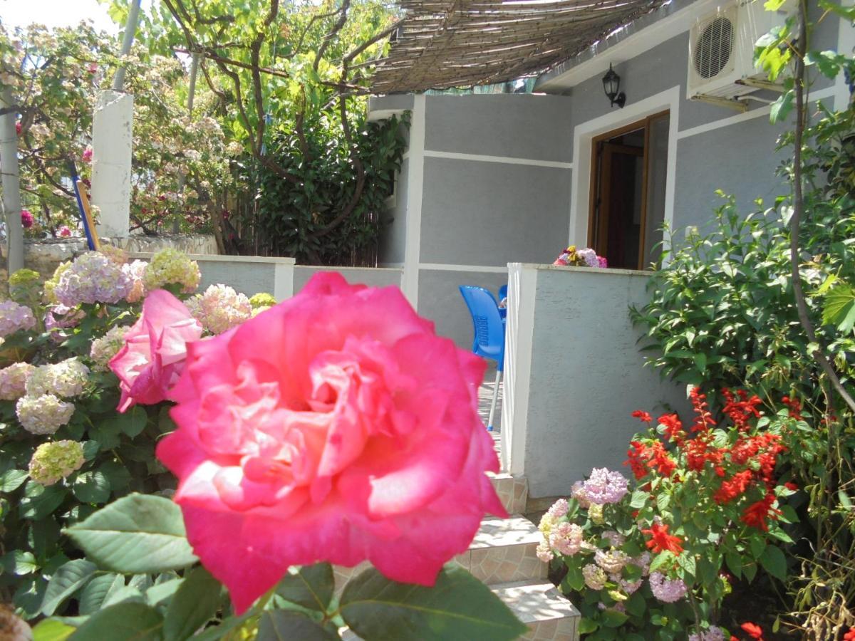 Zace Apartment *