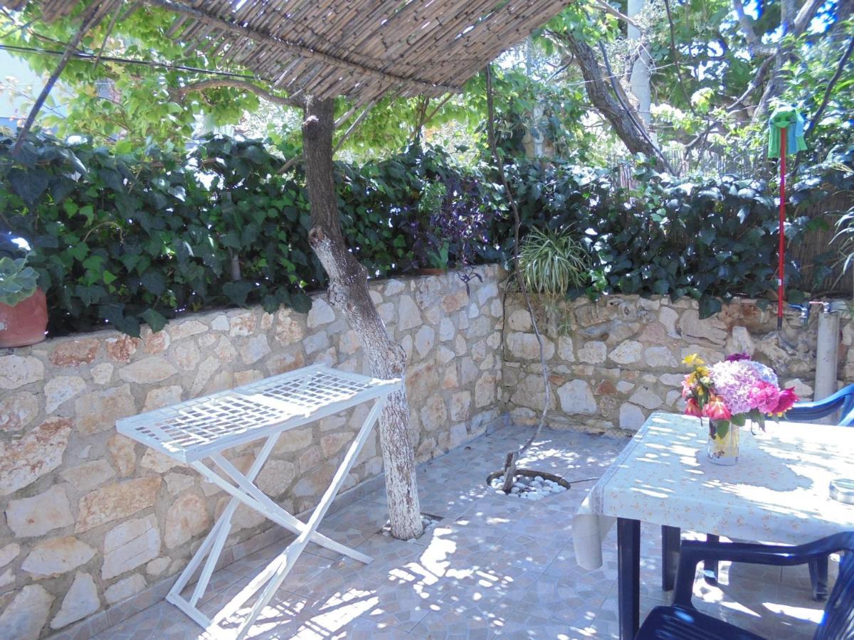 Zace Apartment