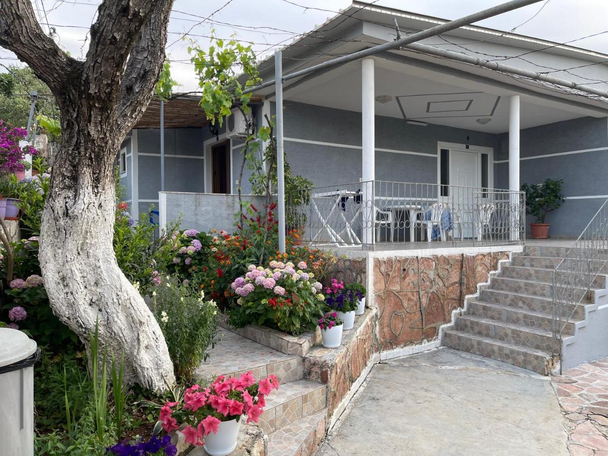 Apartman Zace